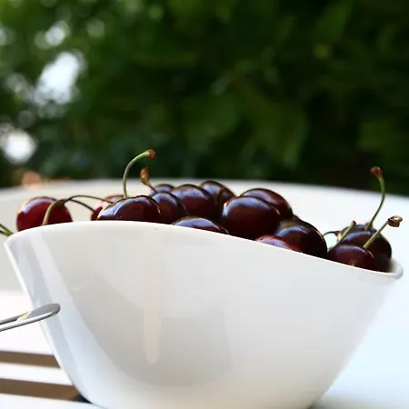 Apartmán Grey Loft *