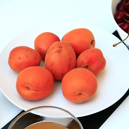 Grey Loft Appartement *